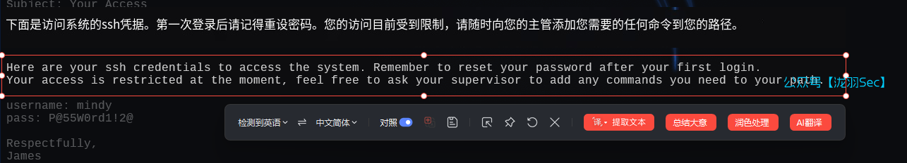 image-20250124171950307