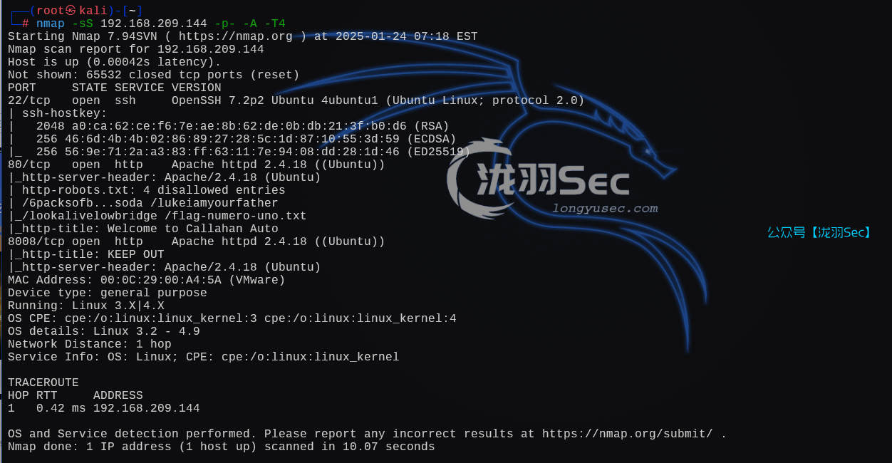 image-20250124201938876