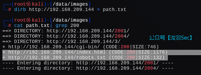 image-20250124205852842