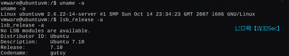 image-20250126003822365