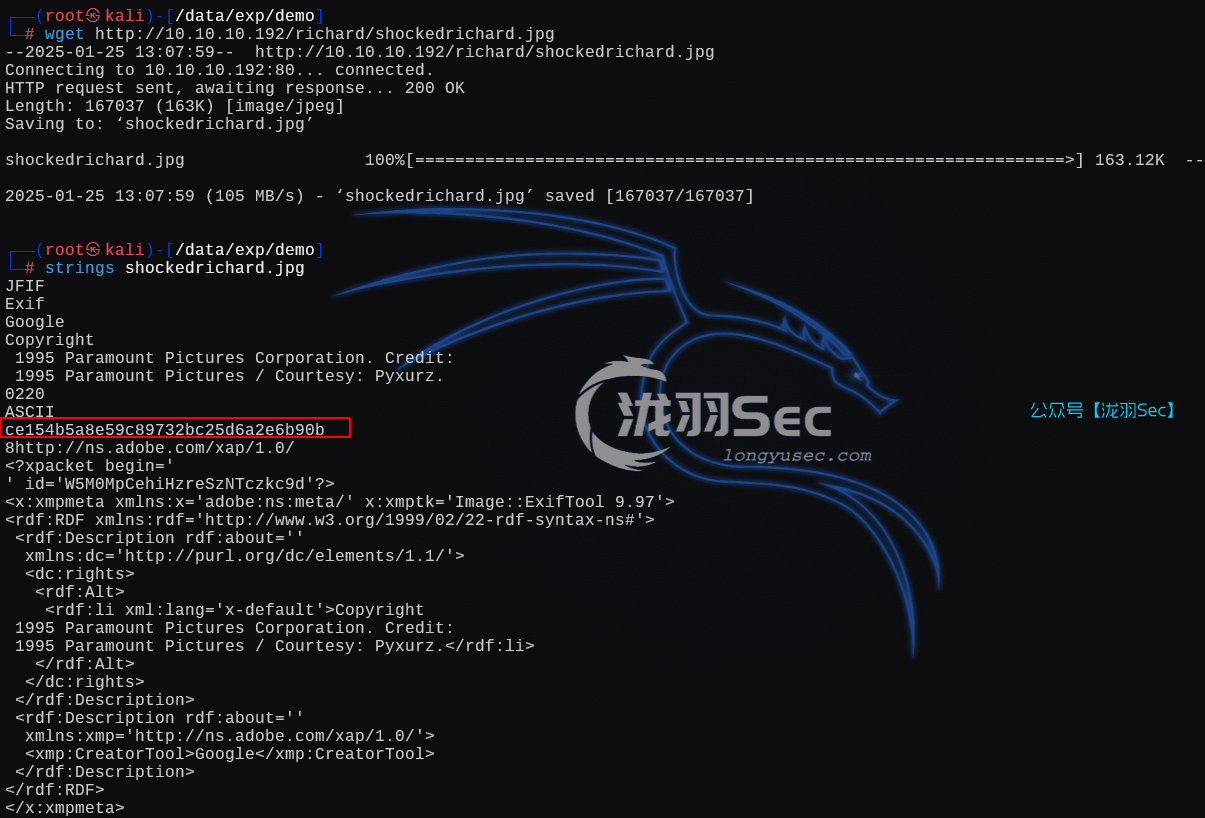 image-20250126021223305