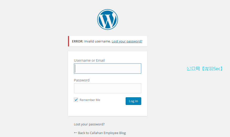 image-20250126184630459