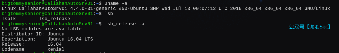 image-20250126191447885