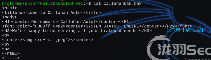 image-20250126192414671