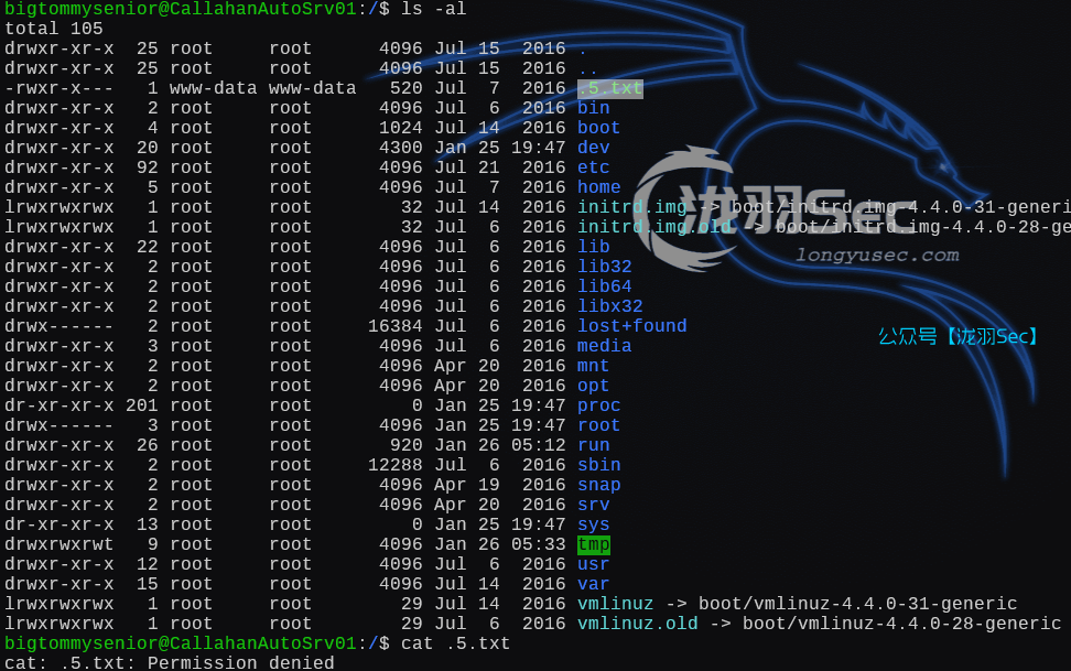 image-20250126193546310