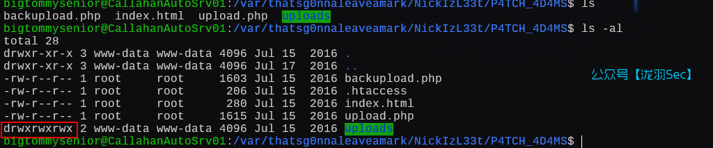 image-20250126201203824