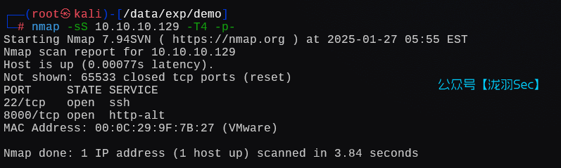 image-20250127185524931