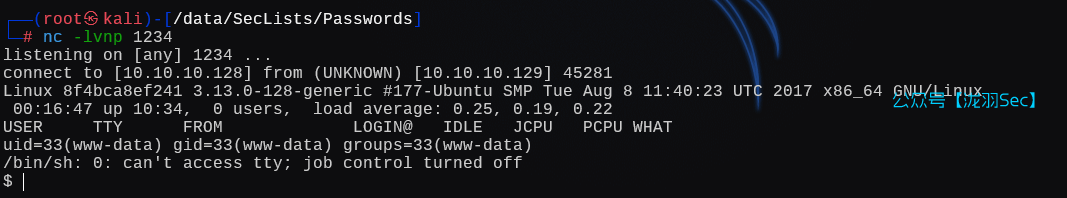 image-20250130205825718