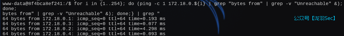 image-20250131004701548