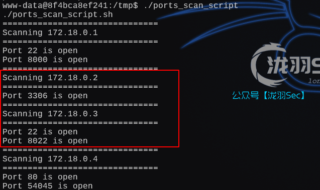 image-20250131141753458