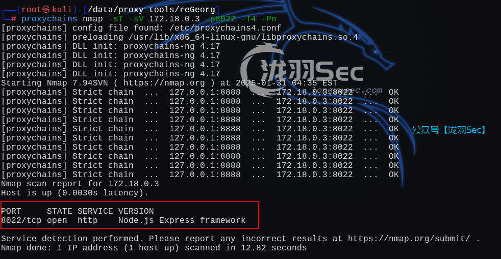 image-20250131173533332