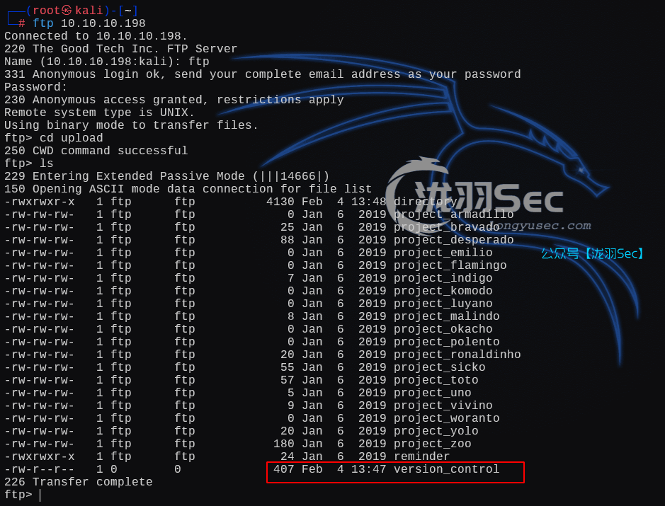 image-20250204214841482