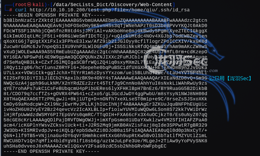 image-20250207203925276