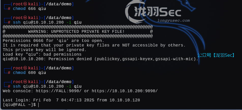 image-20250207204902250