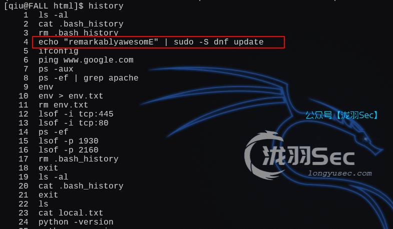 image-20250207210909596