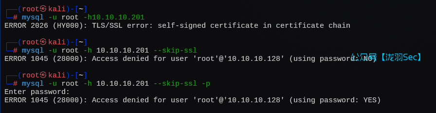 image-20250208123438284