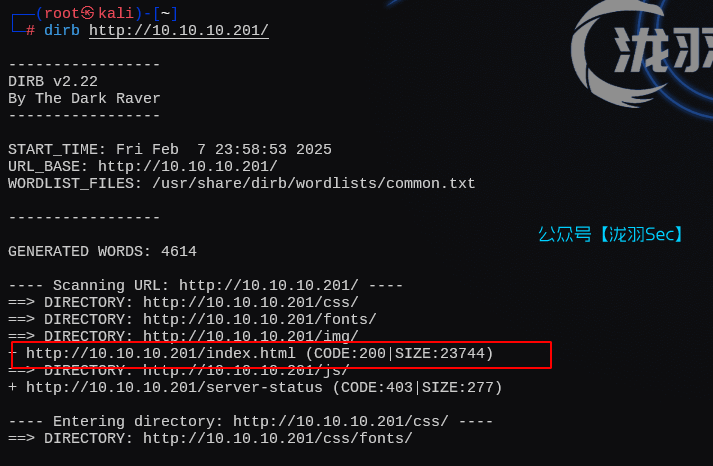 image-20250208125914872