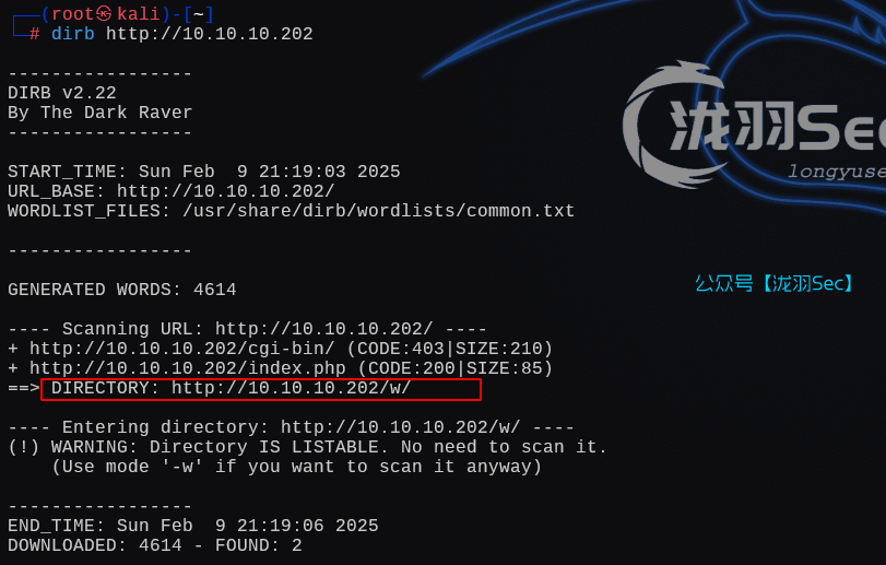 image-20250210101923608