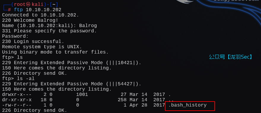 image-20250210120645914