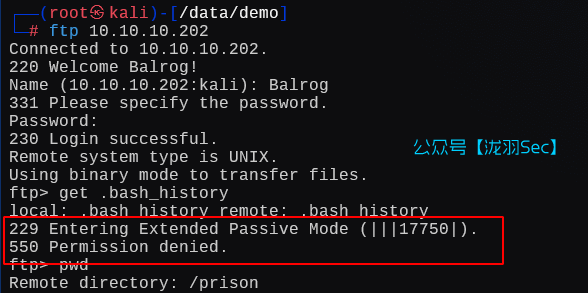 image-20250210120930700