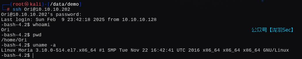 image-20250210124256726