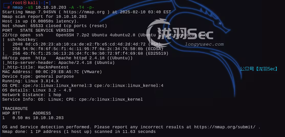 image-20250210164100519