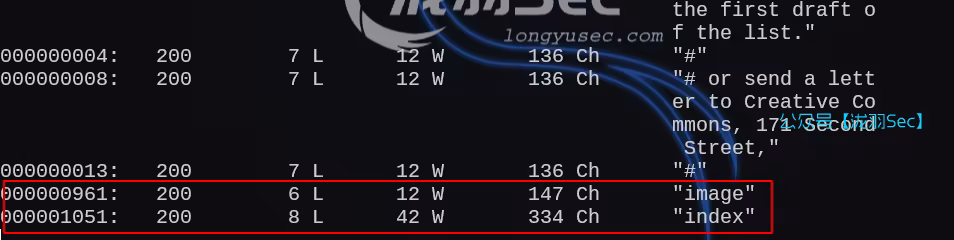 image-20250211200832068