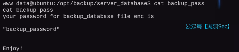 image-20250211212052946