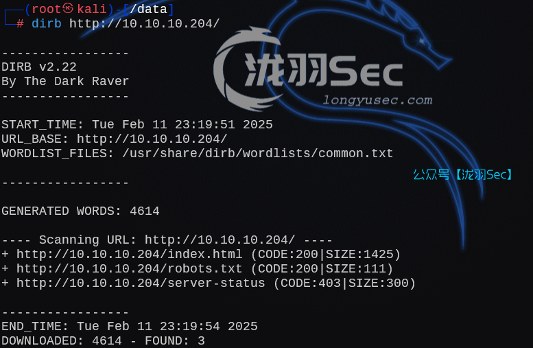 image-20250212122010616