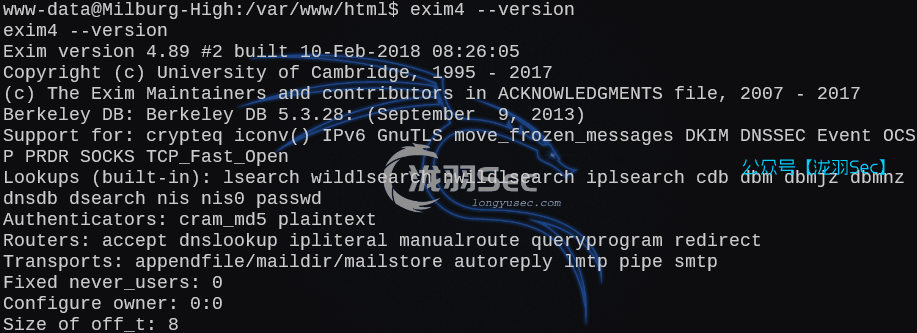 image-20250212183452900