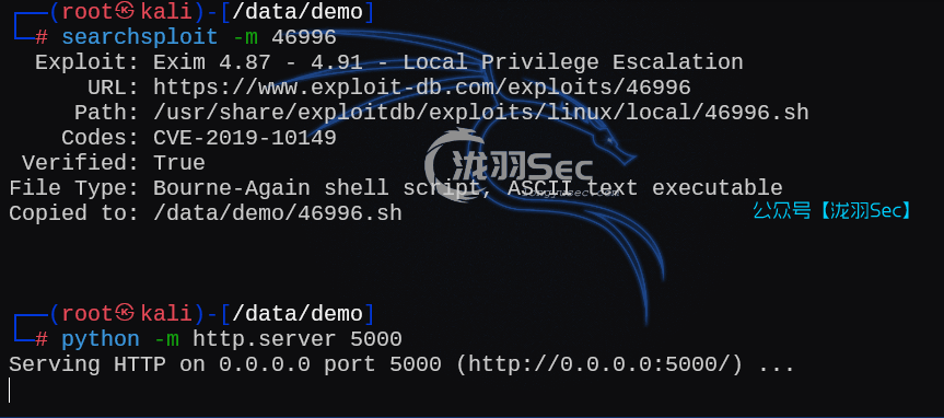 image-20250212184555161