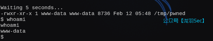 image-20250212184912511