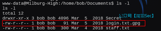 image-20250212202812445