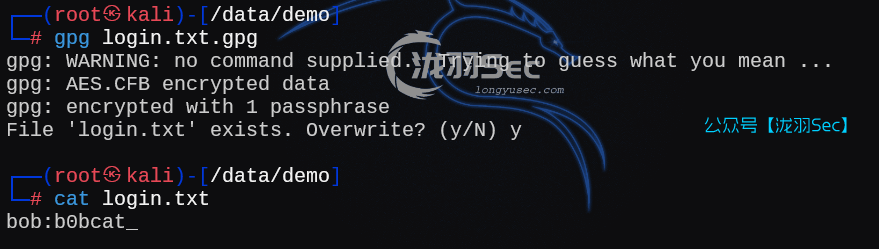 image-20250212232256284