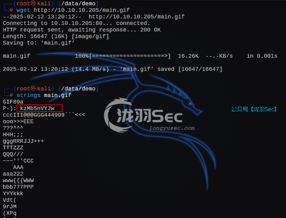 image-20250213022045302